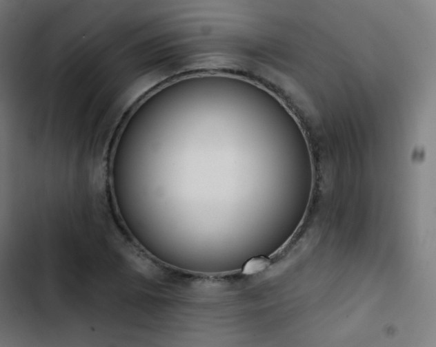 X0000103441073200809121358