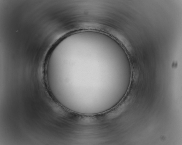 X0000103441074200809121358