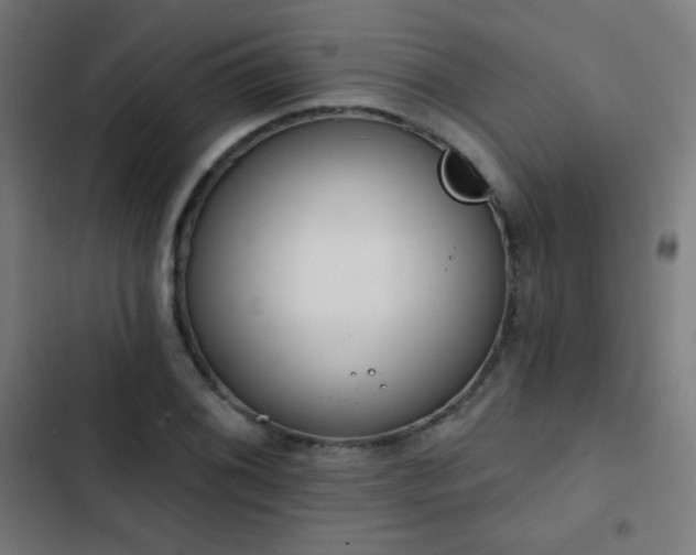 X0000103441076200809121358