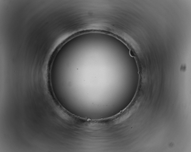 X0000103441077200809121358