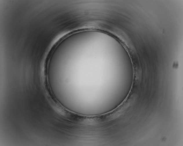 X0000103441078200809121358