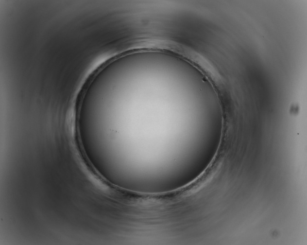 X0000103441079200809121358