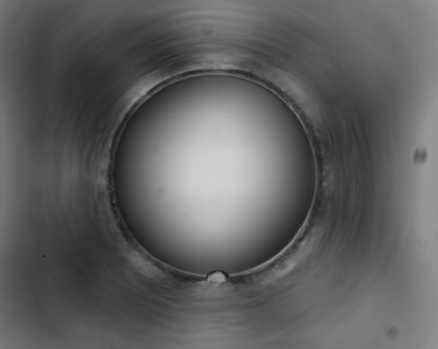 X0000103441081200809121358