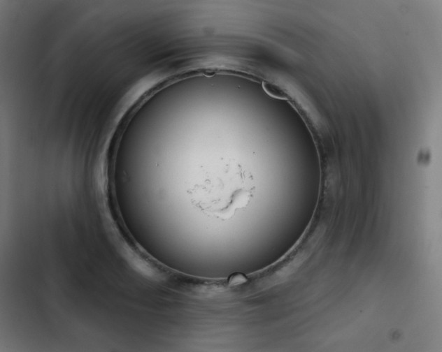 X0000103441082200809121358