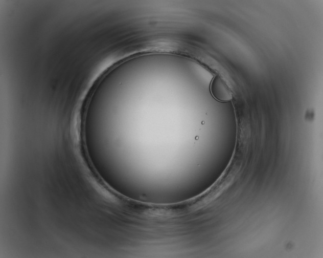 X0000103441083200809121358