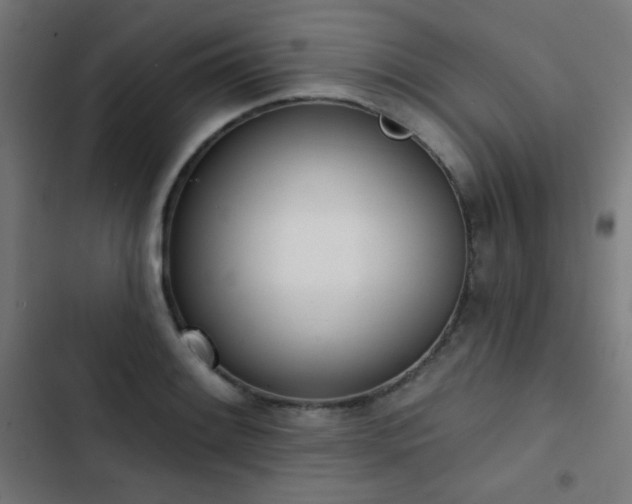X0000103441084200809121358