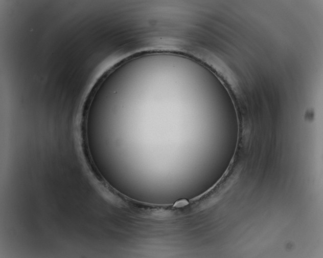 X0000103441085200809121358