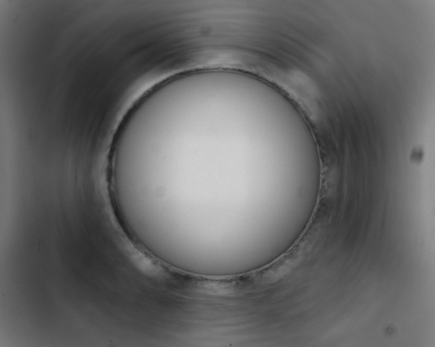 X0000103441086200809121358