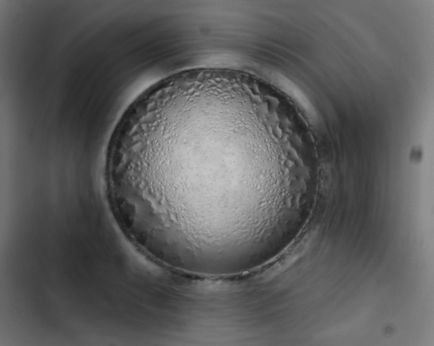 X0000103441087200809121358