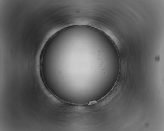 X0000103441088200809121357
