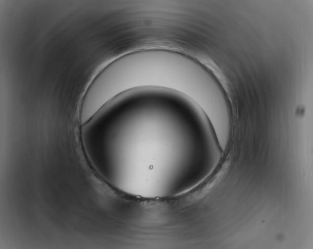 X0000103441089200809121357