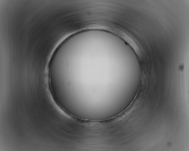 X0000103441092200809121357