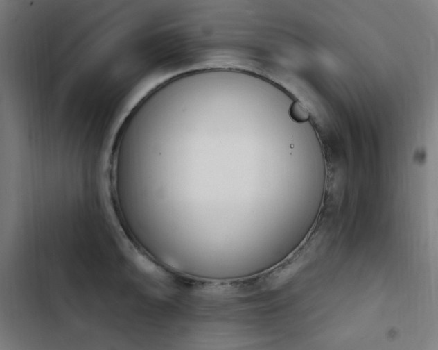 X0000103441094200809121357