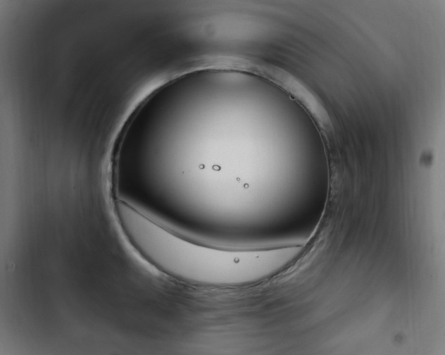 X0000103441095200809121357