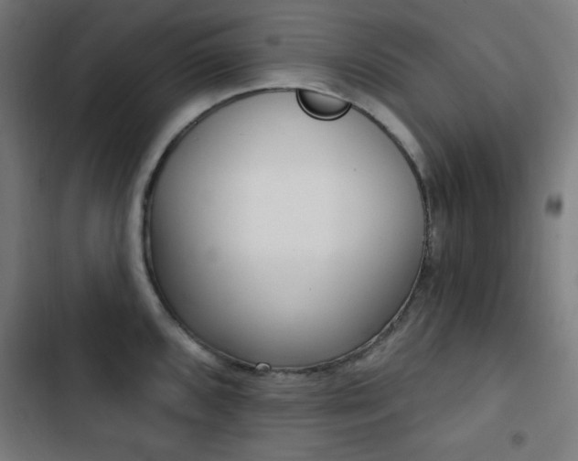 X0000103441096200809121357