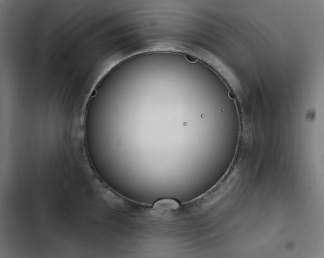 X0000103441097200809121357