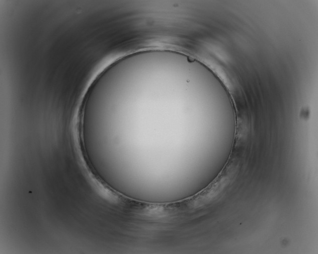 X0000103441098200809121357