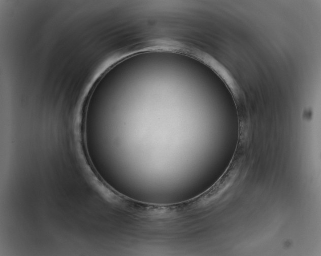 X0000103441099200809121357