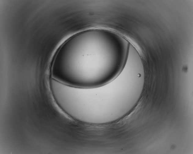 X0000103441100200809121357