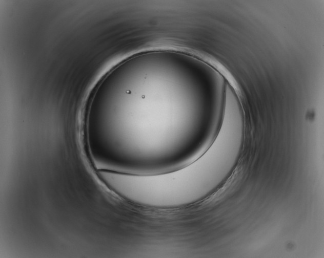 X0000103441101200809121357