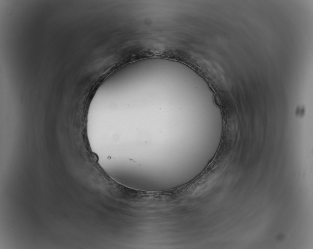 X0000103441105200809121356