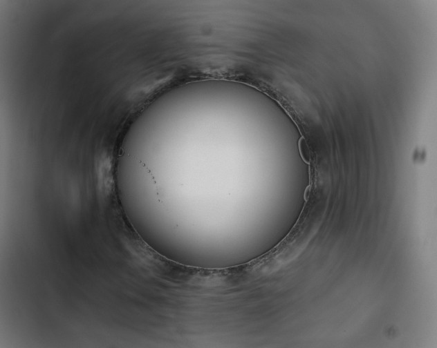 X0000103441106200809121356