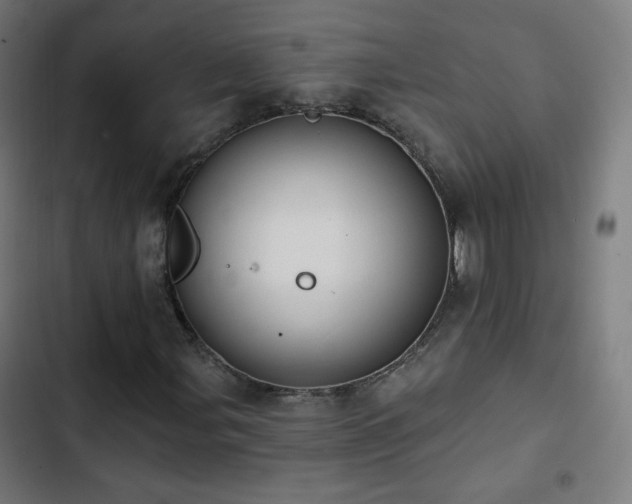 X0000103441107200809121356