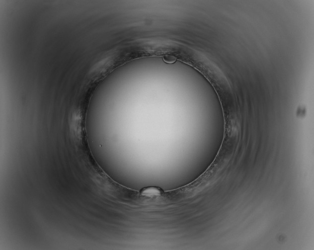 X0000103441108200809121356