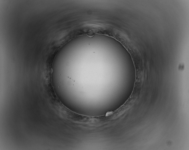 X0000103441109200809121356