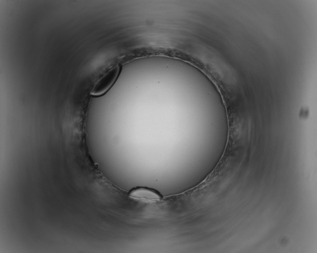 X0000103441110200809121357