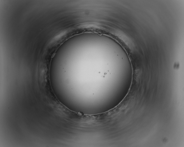 X0000103441111200809121357