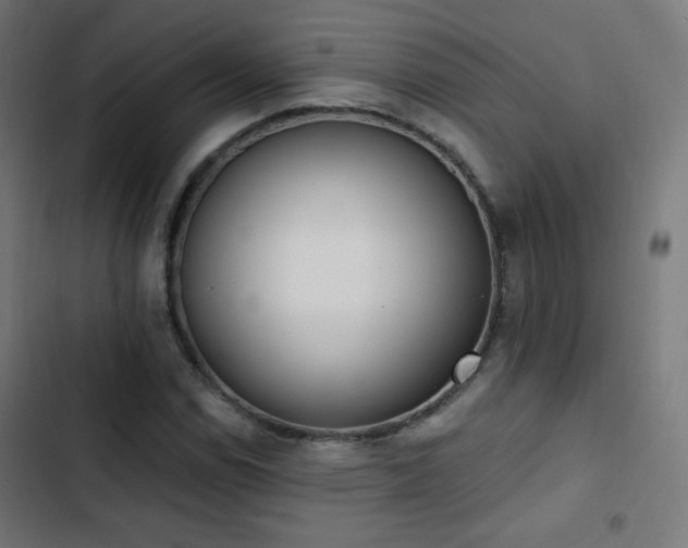 X0000103441114200809121357