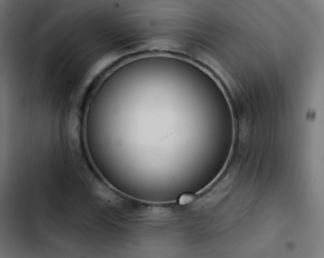 X0000103441115200809121357