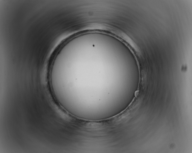 X0000103441116200809121357