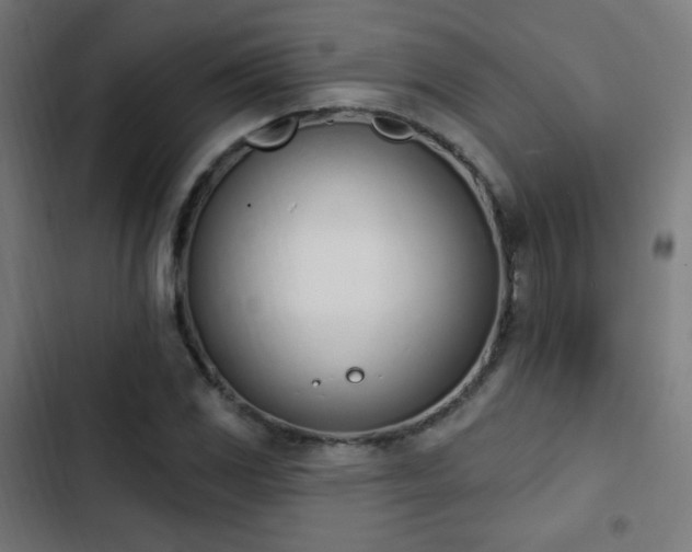 X0000103441117200809121357