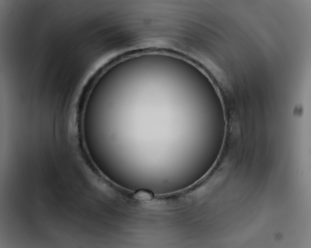 X0000103441118200809121357