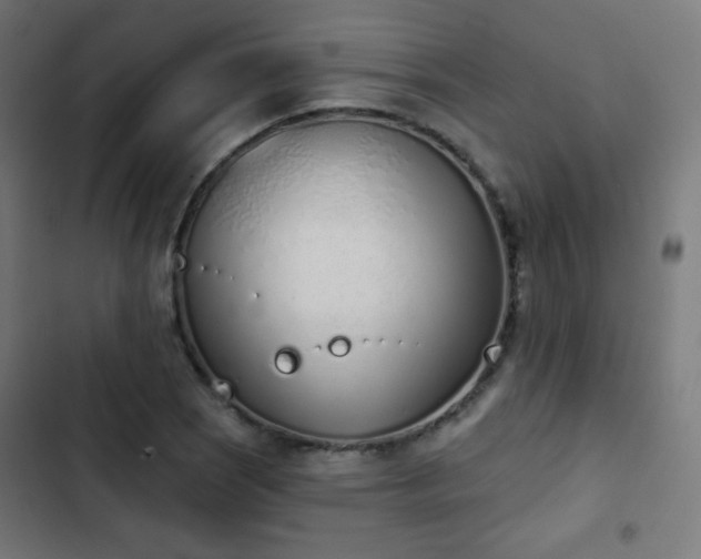 X0000103441121200809121357