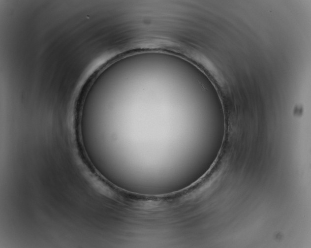 X0000103441122200809121357
