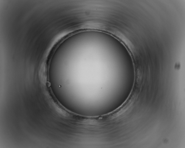X0000103441123200809121357