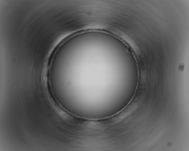 X0000103441124200809121357