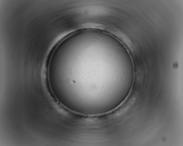 X0000103441125200809121357
