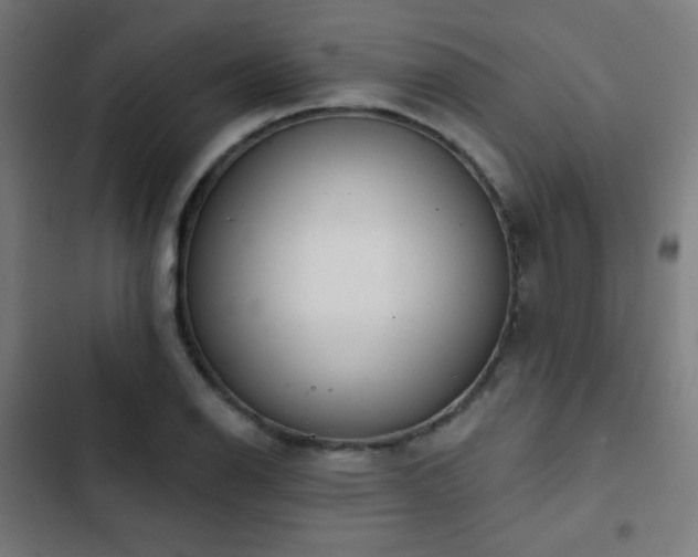 X0000103441126200809121357