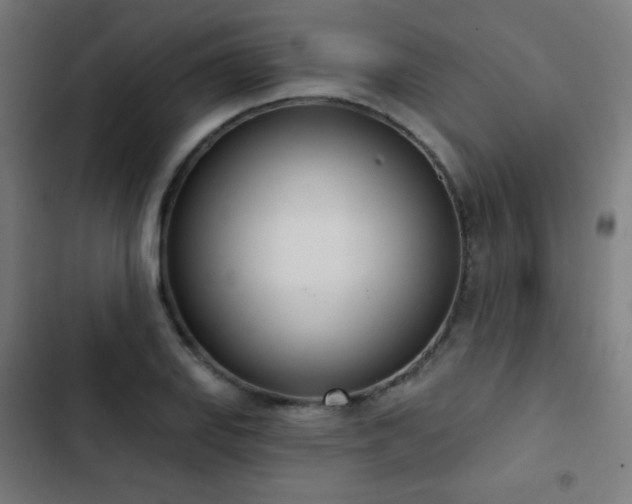X0000103441127200809121357