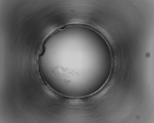 X0000103441129200809121357