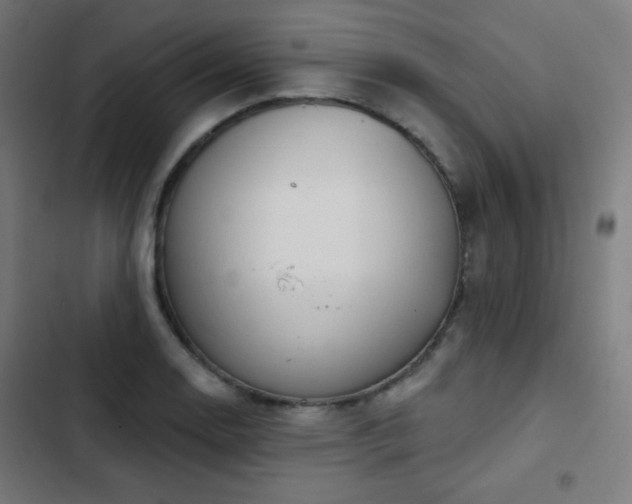 X0000103441130200809121357