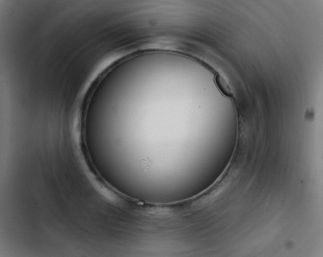 X0000103441131200809121357