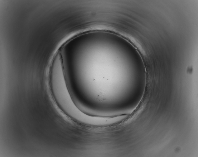 X0000103441134200809121357