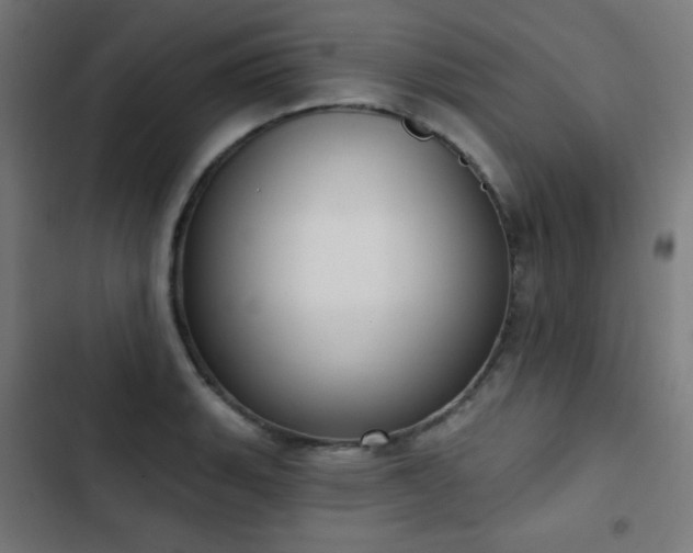 X0000103441135200809121357