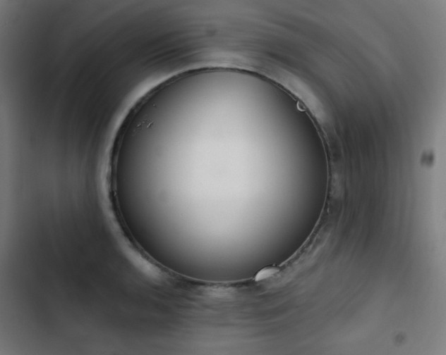 X0000103441136200809121357
