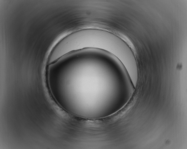 X0000103441138200809121357
